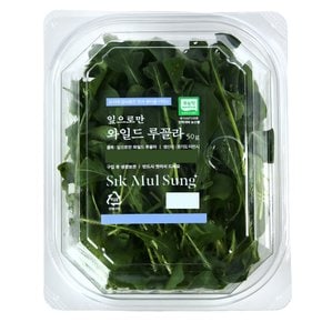 잎으로만 와일드 루꼴라 50g 팩