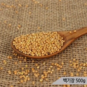 건강알곡 백기장 500g 앵무새 햄스터 모이 간식 사료