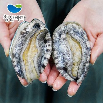 청산바다 완도 활전복 특대 8-9미 1.5kg (약 12-14마리) (선물포장가능)