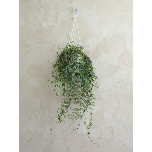 image9