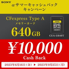 CFExpress 타입 A CEA-G640T 터프 640GB (ILCE-1FX6FX3FX30ILCE-7SM3ILCE-7M4) 소니