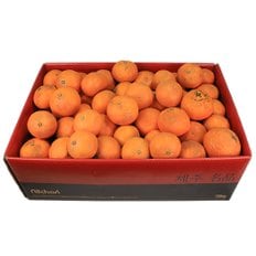 삼다몰 제주 못난이 카라향(귤로향) 10kg