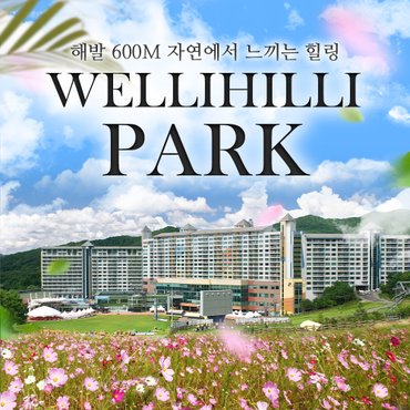 하이원 리조트 vs 정선 메이힐스 리조트 비교 🍂 | 올스테이 공식 블로그 검색결과 >강원도리조트, 신세계몰” style=”width:100%” title=”검색결과 >강원도리조트, 신세계몰”><figcaption>검색결과 >강원도리조트, 신세계몰</figcaption></figure>
<figure><img decoding=