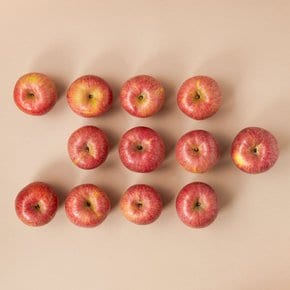저탄소인증 프리미엄 사과세트 5kg