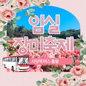 [당일여행] 전북 임실 제 1회 치즈N장미 축제 버스출발 황금나무와 여행 친구들
