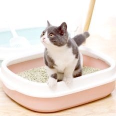 고양이 화장실 추천 소형 평판형