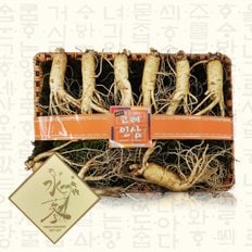 [바로배송][부여인삼] 수삼 선물세트 750g(8~9뿌리)