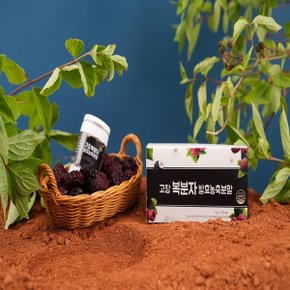 고창복분자발효분말 12통