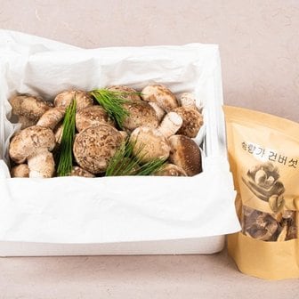  [산지직송] (상품) 친환경 경북구미 진송향버섯 1kg 송향 송화 송화...