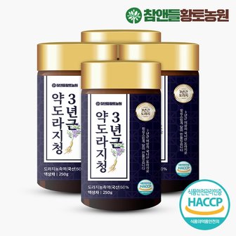 참앤들황토농원 국내산 3년근 약도라지청 250g X 4병