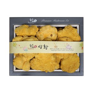 모두의식탁 상황버섯 선물세트 250g