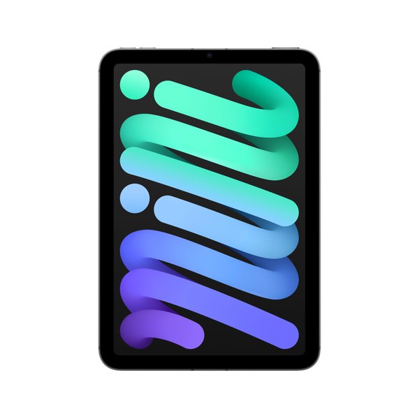 (픽업전용) iPad mini (A17 Pro) 256GB 스페이스 그레이 Cellular (MXPT3KH/A)