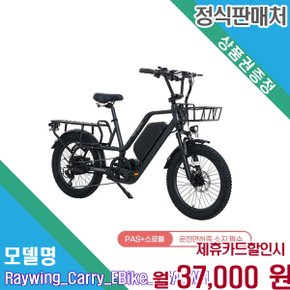 [렌탈] 레이윙 25A 대용량 배터리 캐리 전기자전거 (CARRY_25A_WH)