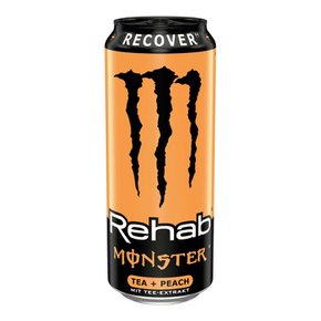 [해외직배송] 독일 몬스터 에너지 리커버 티+피치 500ml