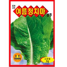  여름 청치마 상추씨앗 3g