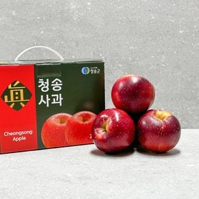 [오늘신선] 청송네자매 경북 청송 피치애플 사과 선물세트 2.5kg 특대과(3-6과 내외)