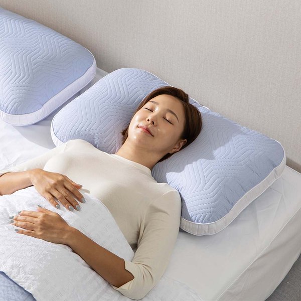 홈랩 통째로 빨아쓰는 퍼펙트 기절베개 2colors