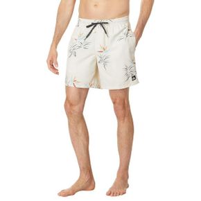 4984918 Quiksilver Everyday Mix 17 Volley