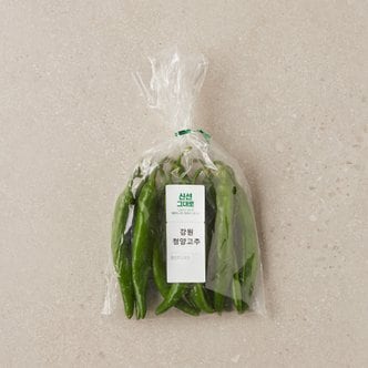  강원 청양고추 (150g/봉)