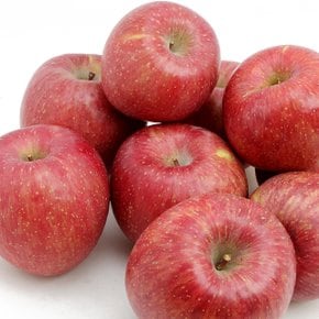 [유명산지] 달콤한 부사 사과 5kg 28과내