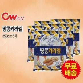 땅콩 캬라멜(350gx5개)