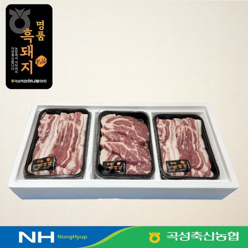 이미지 AP