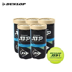 ATP 챔피언쉽 캔볼 테니스공 시합구 5캔 10입