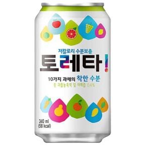 토레타 340ml x 24캔입 (S10547785)