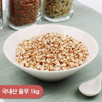 건강한밥상 국내산 율무 1kg