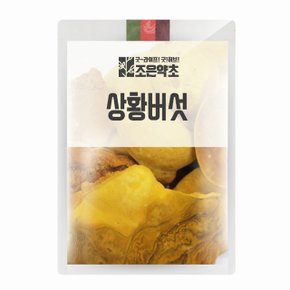 상황버섯 150g