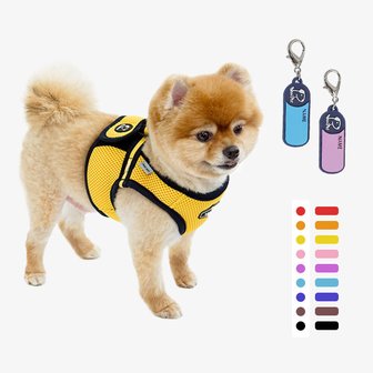 REAL PET 프리세이프 조끼 하네스 + 이름표 세트  9color 애견 가슴줄 강아지 산책 용품(S~3L)