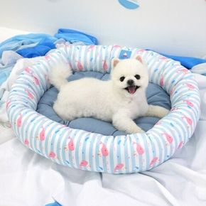 강아지 고래 여름 양면 방석 1P 고양이 쿨쿠션 침대