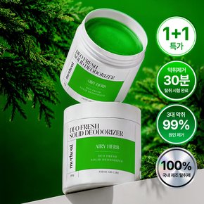 1+1 대용량 실내 고체탈취제 350g 에어리허브 화장실 집안 실내 홀애비 남자 방 담배 냄새 제거