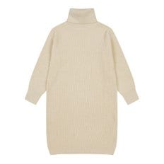 Turtleneck ribbed dress_107NDV00LBE