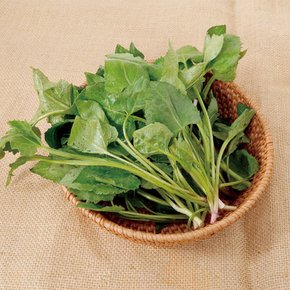[산지직송] 구례댁 지리산 취나물 400g