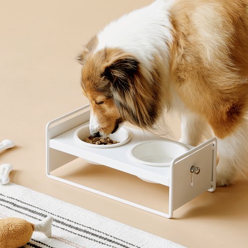 쑥쑥 식기테이블 강아지 고양이 높이 각도 조절 식기 기본형 2구