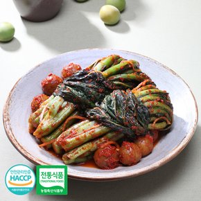 매가찬 청매실 갓김치 2kg 국산재료 전통식품 HACCP