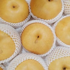  황금열매 가정용 업소용 흠집배 7.5kg 중과 (13-15과)