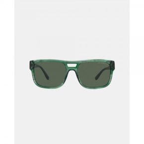 3905617 Emporio Armani 0EA4197 - Green 64231900