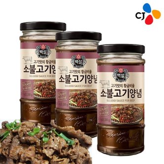  CJ제일제당 백설 소불고기 양념 290g x10개