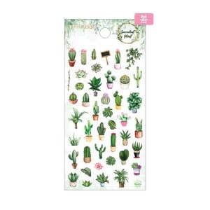  [쁘띠] 스티커 SucculentPlant DA5482 (95x200mm다육식물)