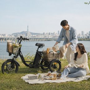 스카닉 트라이크16 TRIKE 실버 여성용 주부 세발 삼륜 전동 전기자전거