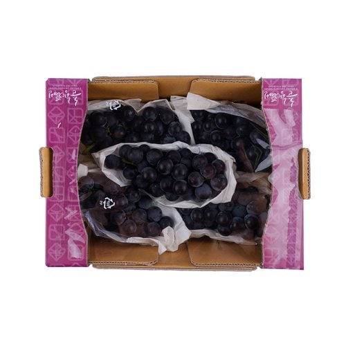[SSG] [농할 20% 할인쿠폰 다운로드]춘향골 캠벨포도 1.5kg 박스