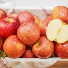 사과 [중대과] 달콤아삭 경북 햇 부사 사과 8kg (25-32과) 가정용