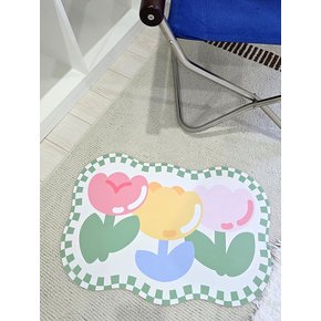 빨아쓰는 소프트 디아톰 규조토 발매트