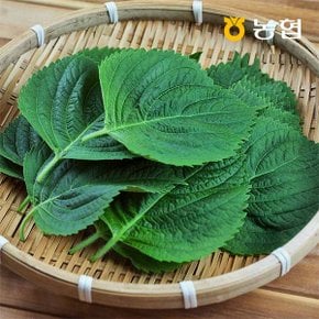 GAP인증 농협선별 추부깻잎 1kg