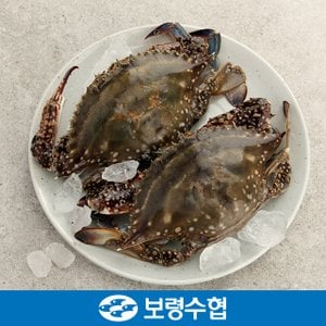 보령수협 국내산 봄 꽃게(급냉) 2kg(7-8미)