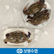 국내산 봄 꽃게(급냉) 2kg(7-8미)