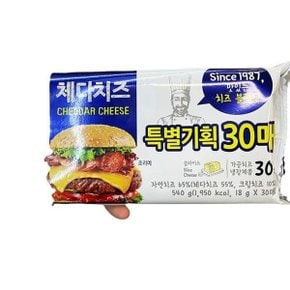 [홈플러스]동원소와나무체다치즈540G