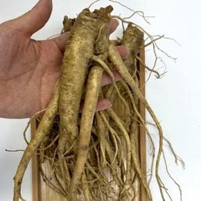 국산 약도라지  3kg 실속 국내산 흙도라지 생 도라지 (S41553743)
